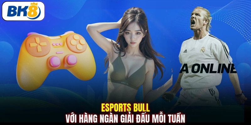Esports Bull với hàng ngàn giải đấu mỗi tuần